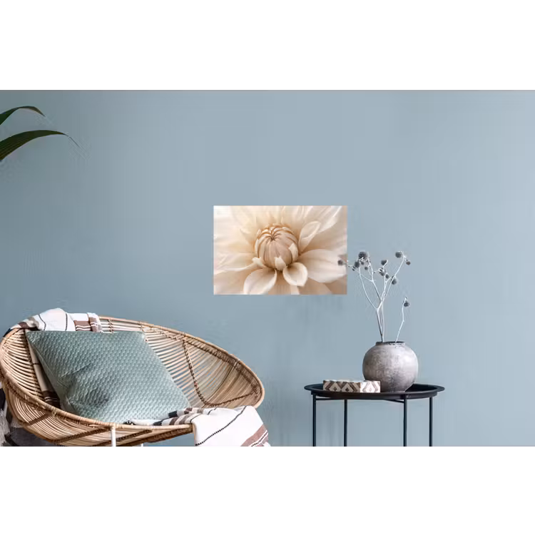Bloem - Dahlia - Wit Muursticker klein -plant