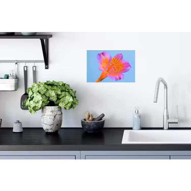 Bloem - Detail - Kleurrijk Muursticker klein -keuken