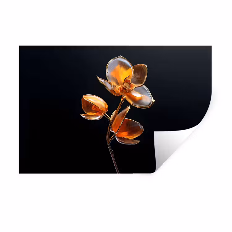 Bloem - Orchidee - Oranje Muursticker klein -3d