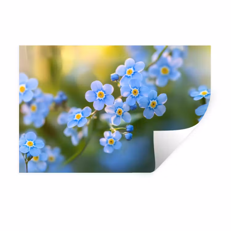 Bloemetjes - Blauw - Vergeet mij nietjes Muursticker klein -3d