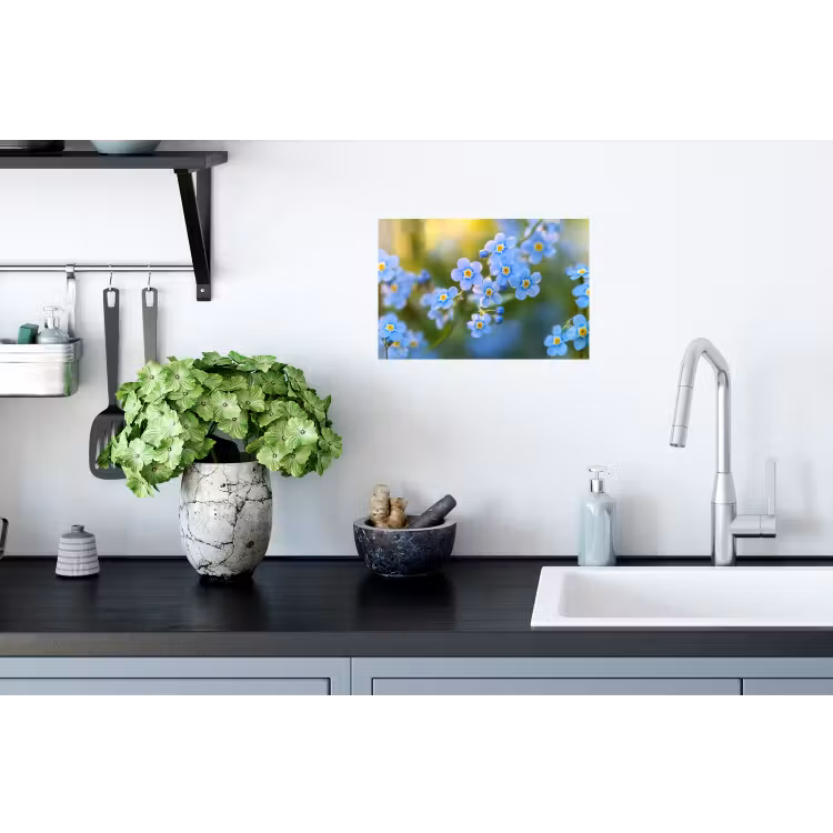 Bloemetjes - Blauw - Vergeet mij nietjes Muursticker klein -keuken