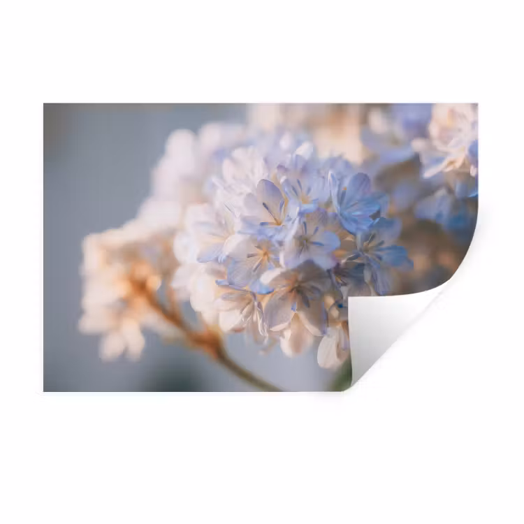 Bloemen - Lichtblauw - Wazig - Trosje Muursticker klein -3d