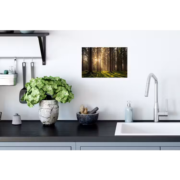 Bos - Gras - Zonlicht Muursticker klein -keuken