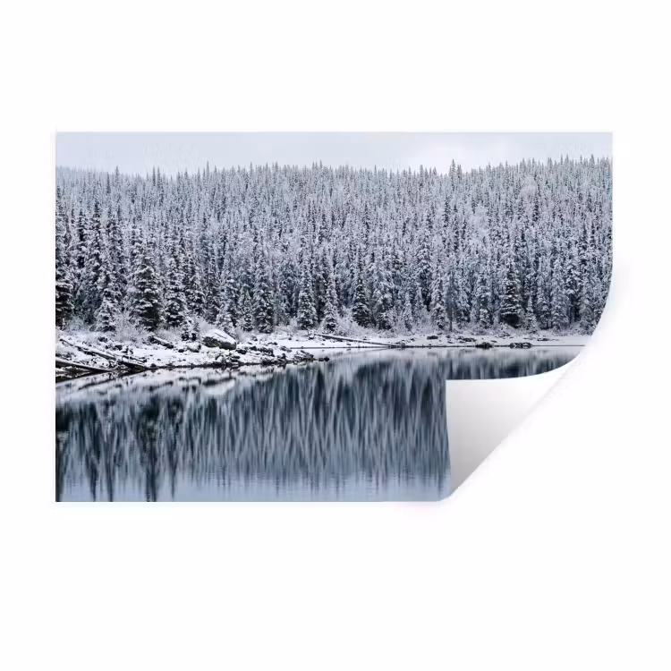 Bos - Reflectie - Meer - Winter - Serene Muursticker klein -3d