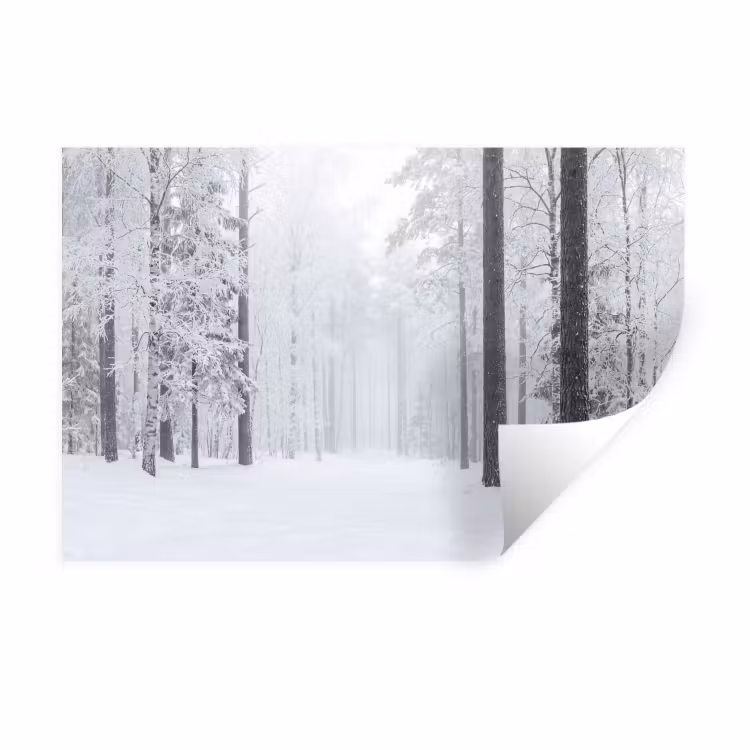 Bos - Sneeuw - Pad - Winter - Stilte Muursticker klein -3d