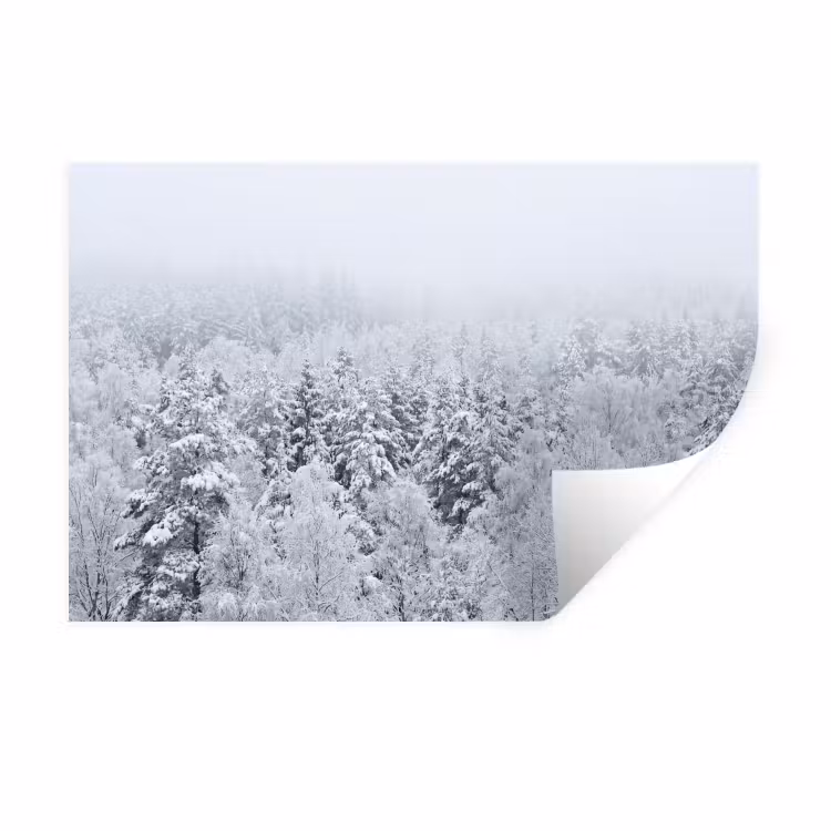 Bos - Sneeuw - Winter - Natuur - Wit Muursticker klein -3d