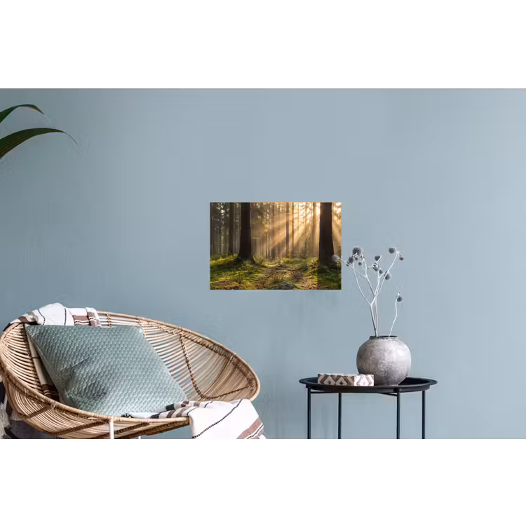Bos - Zonlicht - Gras Muursticker klein -plant