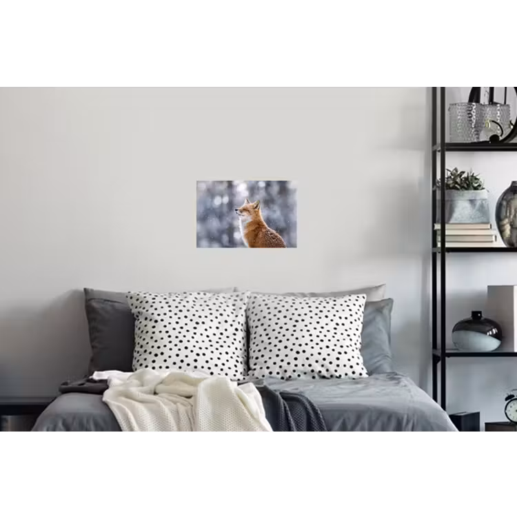 Vos - Sneeuwval - Portret - Winter - Sfeervol Muursticker klein -slaapkamer