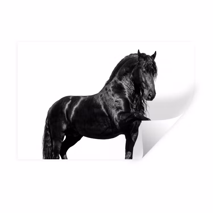 Fries - Hengst - Modern Muursticker klein -3d