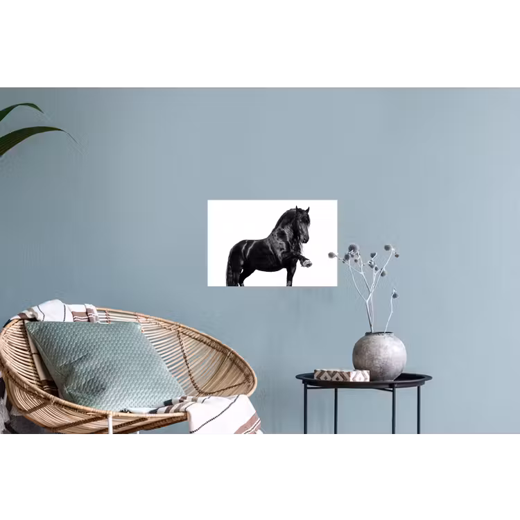 Fries - Hengst - Modern Muursticker klein -plant