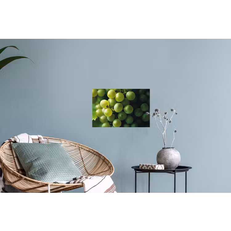 Druiven - Tros - Groen Muursticker klein -plant