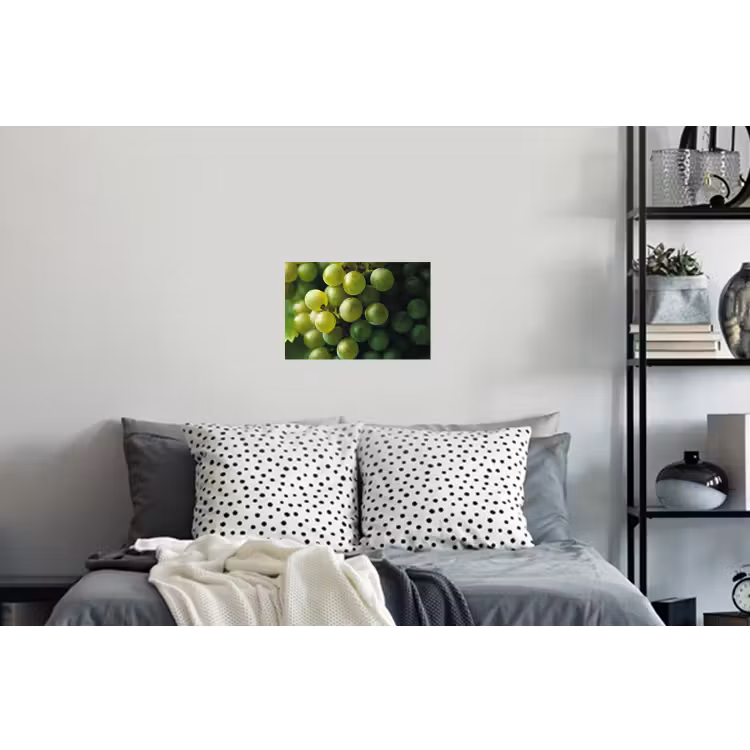 Druiven - Tros - Groen Muursticker klein -slaapkamer