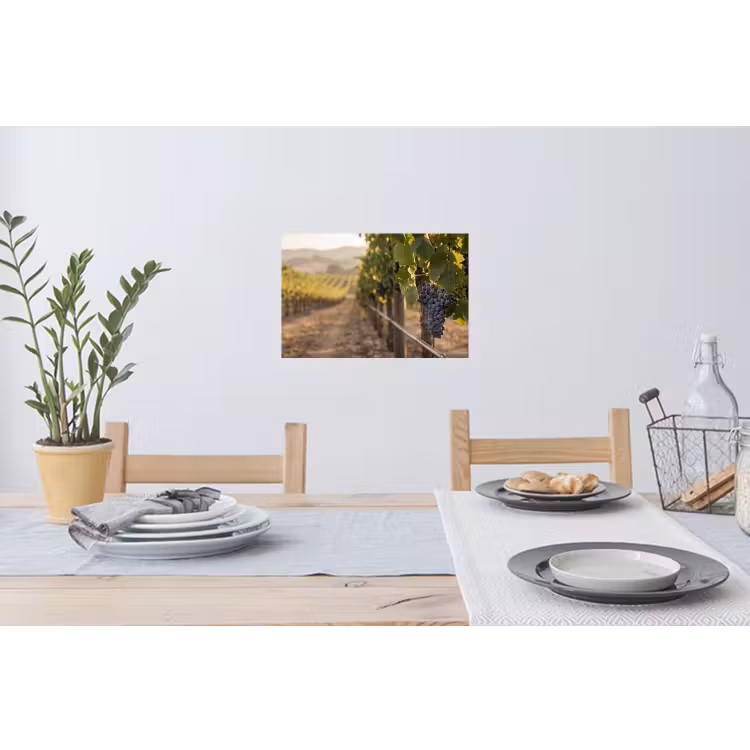 Druiven - Wijngaard - Zonlicht Muursticker klein -eettafel