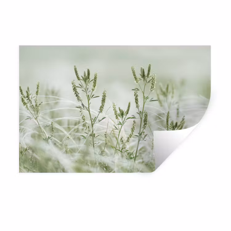 Grassen - Minimalistisch - Groen Muursticker klein -3d