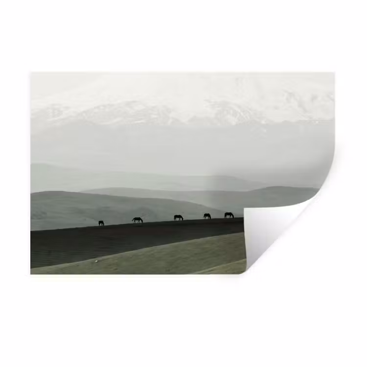 Grijs - Berg - Paarden Muursticker klein -3d