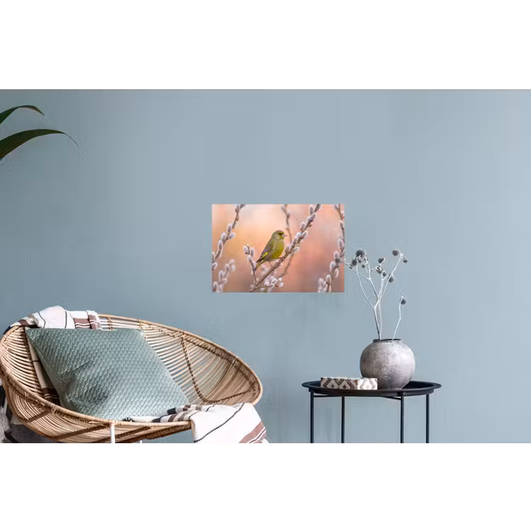 Groenling - Katjes - Lente - Natuur - Zacht Muursticker klein -plant