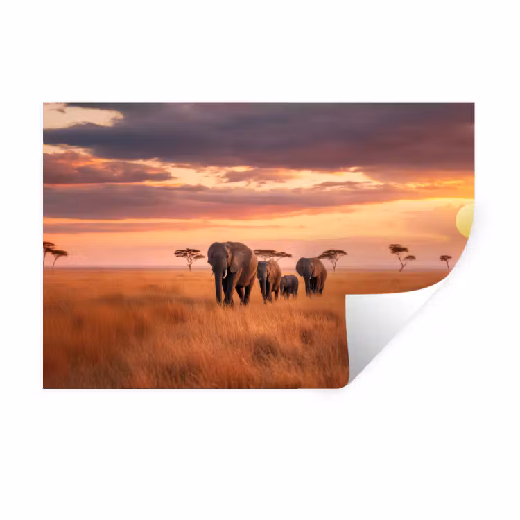 Groep olifanten - Open vlakte - Zon Muursticker klein -3d