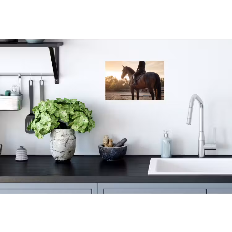 Harmonie - Ruiter - Zon Muursticker klein -keuken