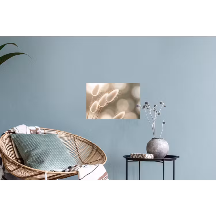 Hazestaartgras - Wit - Zonlicht Muursticker klein -plant