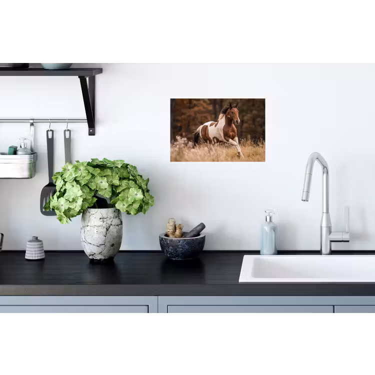 Paard - Bruin - Gras Muursticker klein -keuken