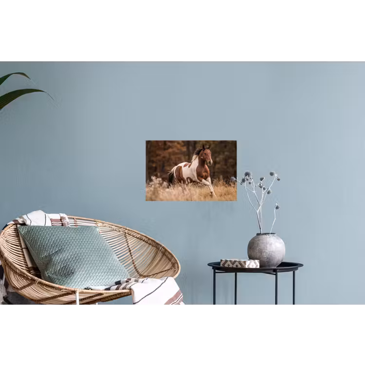 Paard - Bruin - Gras Muursticker klein -plant
