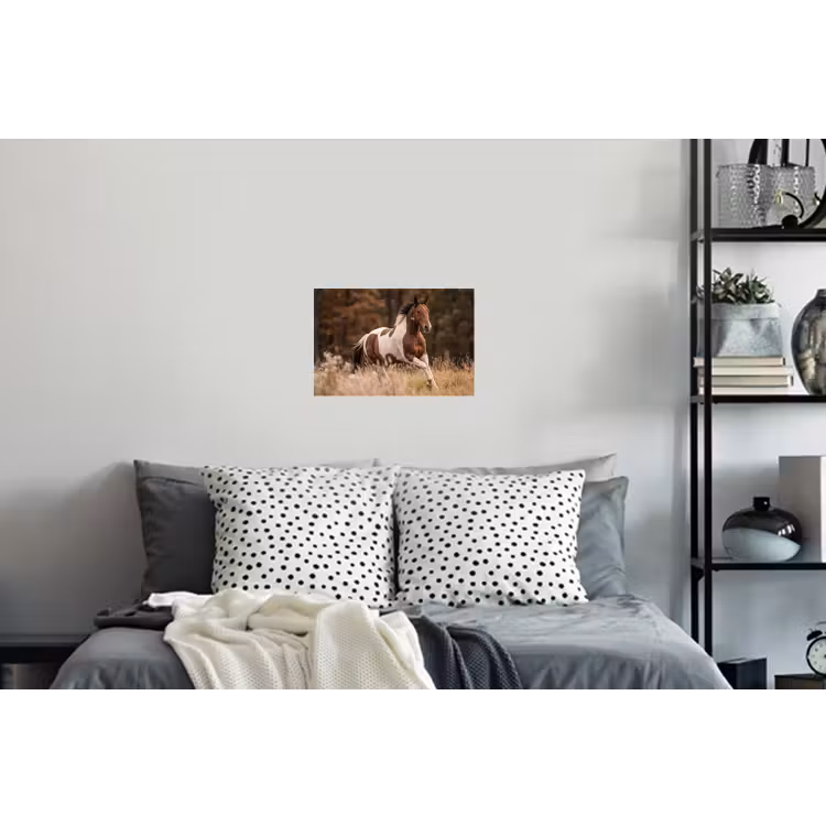 Paard - Bruin - Gras Muursticker klein -slaapkamer