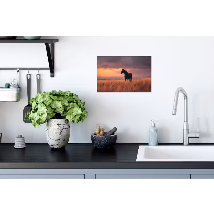 Paard - Wolken - Open veld Muursticker klein -keuken