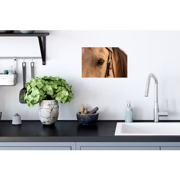 Paard - Oog - Bruin Muursticker klein -keuken