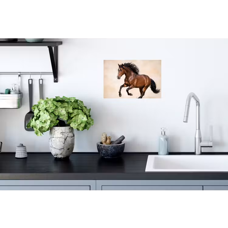 Paard - Galop - Energie Muursticker klein -keuken