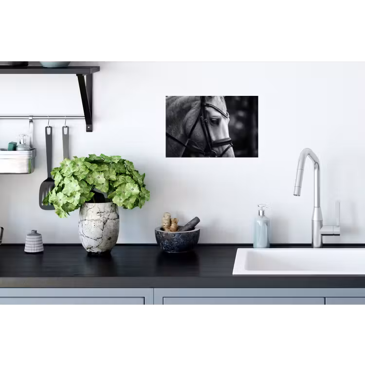 Paard - Schimmel - Portret Muursticker klein -keuken