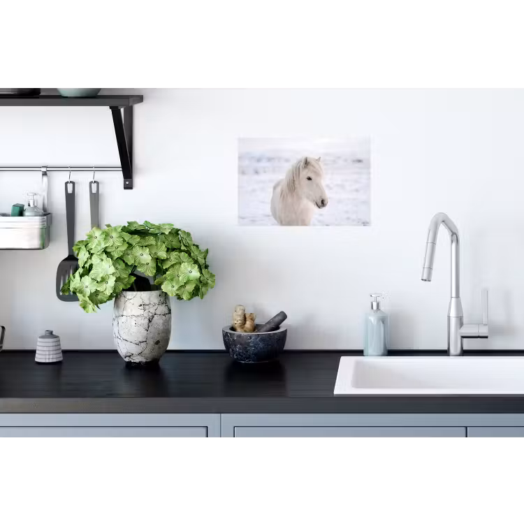 Paard - Kop - Winter - Dieren - Wit Muursticker klein -keuken