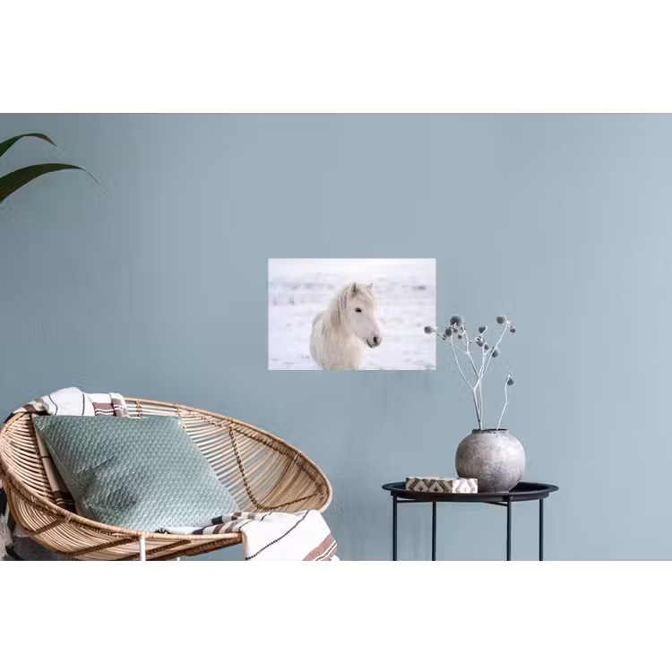 Paard - Kop - Winter - Dieren - Wit Muursticker klein -plant