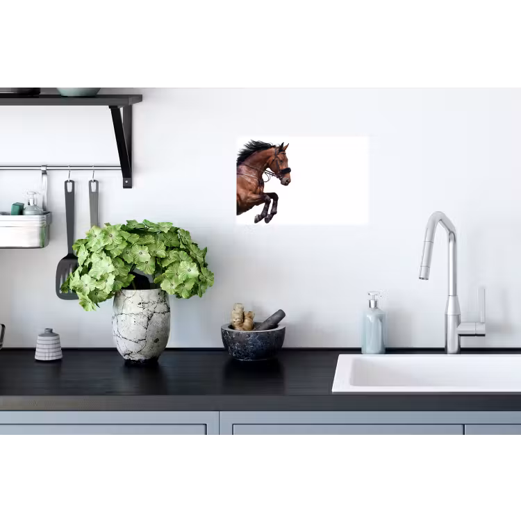Paard - Springen - Modern Muursticker klein -keuken