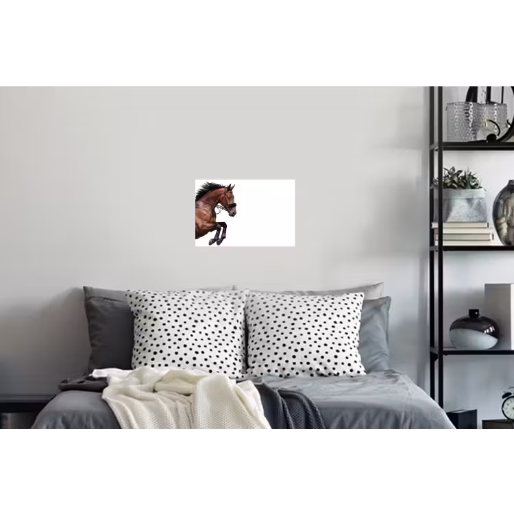 Paard - Springen - Modern Muursticker klein -slaapkamer