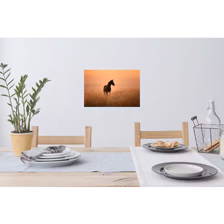 Paard - Grasveld - Zonsondergang Muursticker klein -eettafel