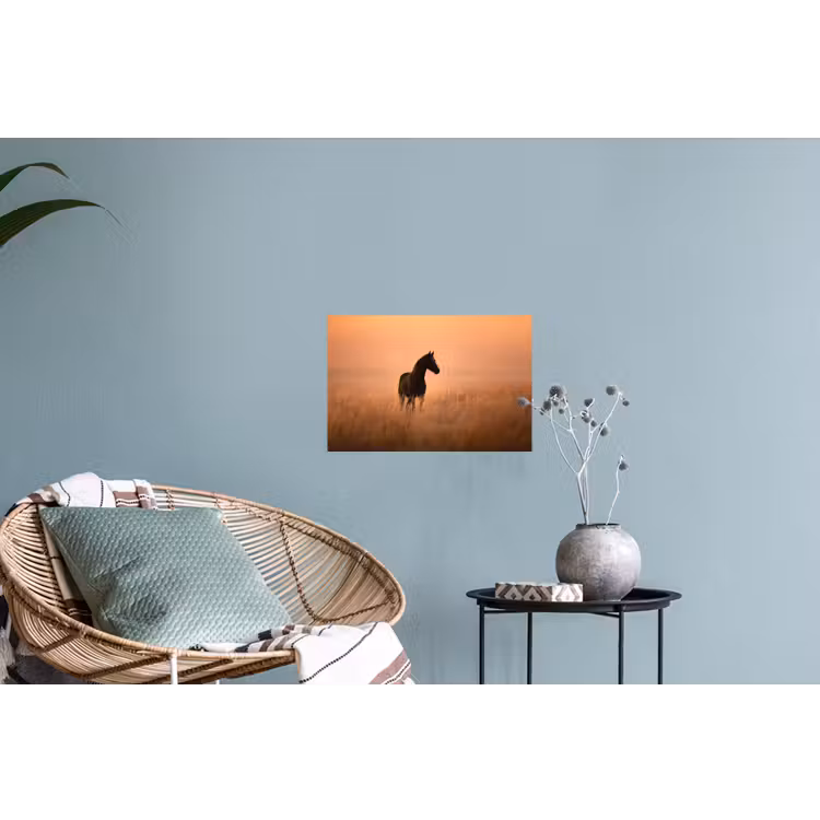 Paard - Grasveld - Zonsondergang Muursticker klein -plant