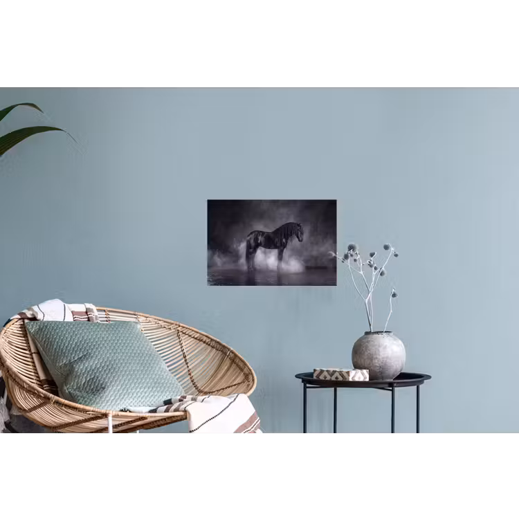 Paard - Magisch - Zwart Muursticker klein -plant