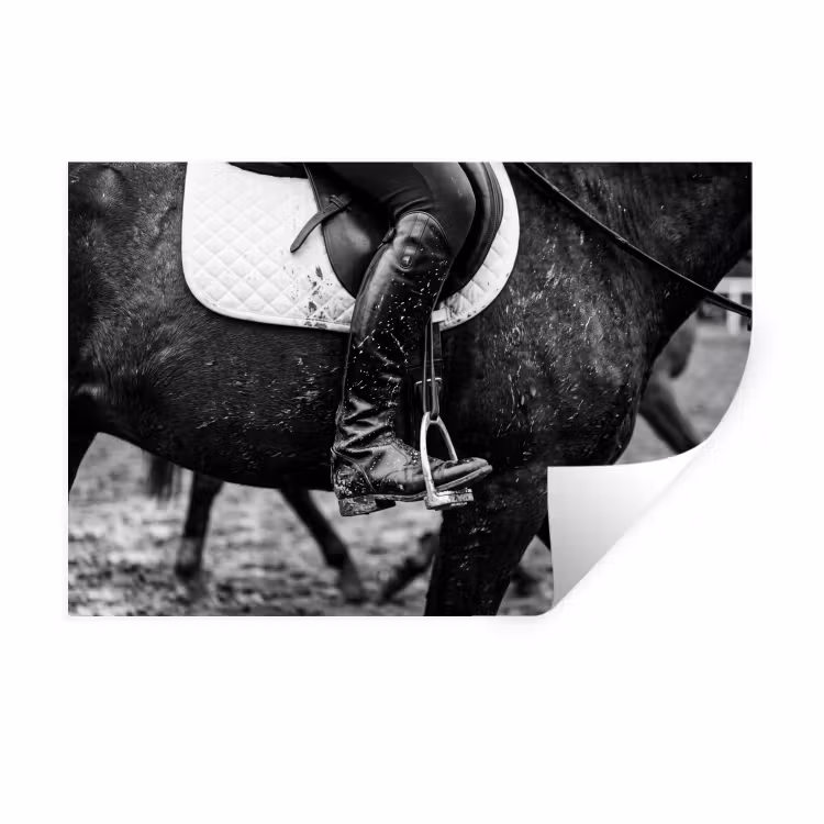 Paard - Sport - Zwart - Wit Muursticker klein -3d