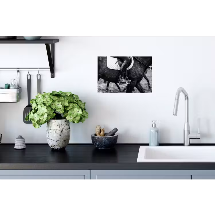 Paard - Sport - Zwart - Wit Muursticker klein -keuken