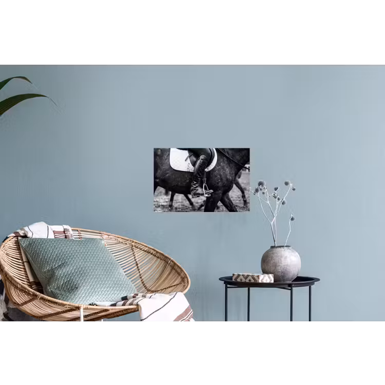 Paard - Sport - Zwart - Wit Muursticker klein -plant