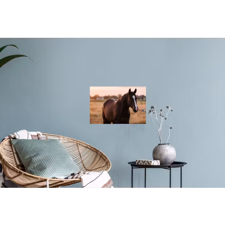 Paard - Zonsondergang - Bruin Muursticker klein -plant