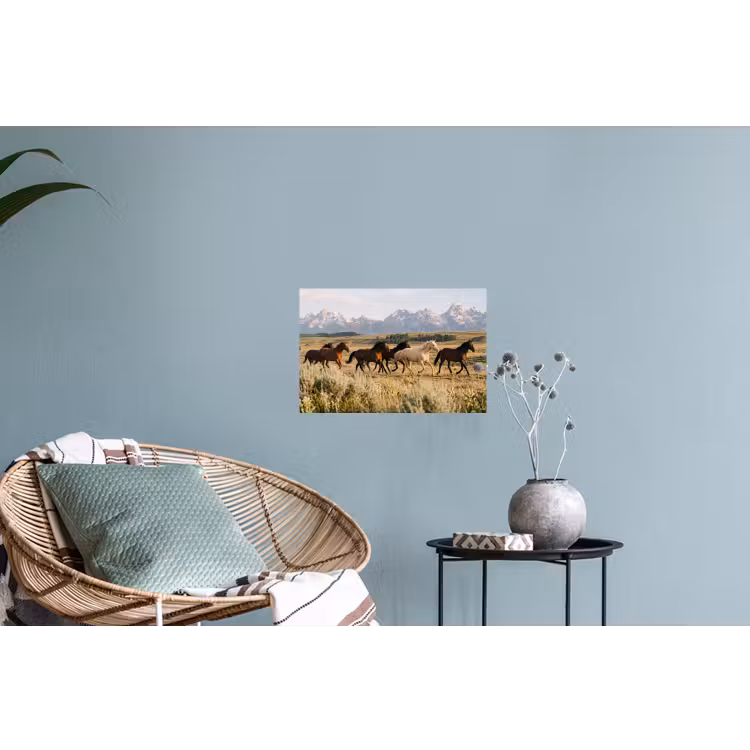 Paarden - Kudde - Bergen - Vrijheid - Wild Muursticker klein -plant