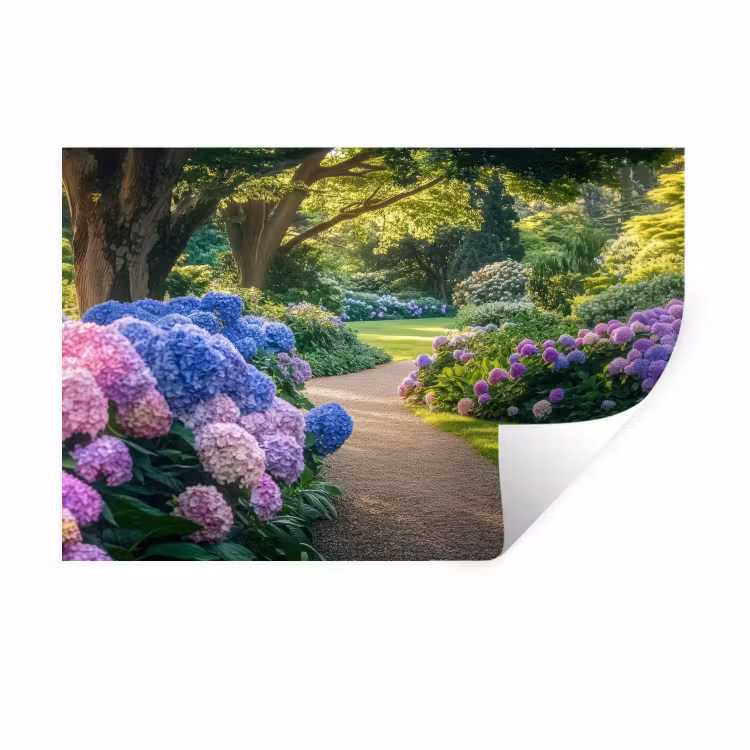 Hortensia- Park - Pad Muursticker klein -3d