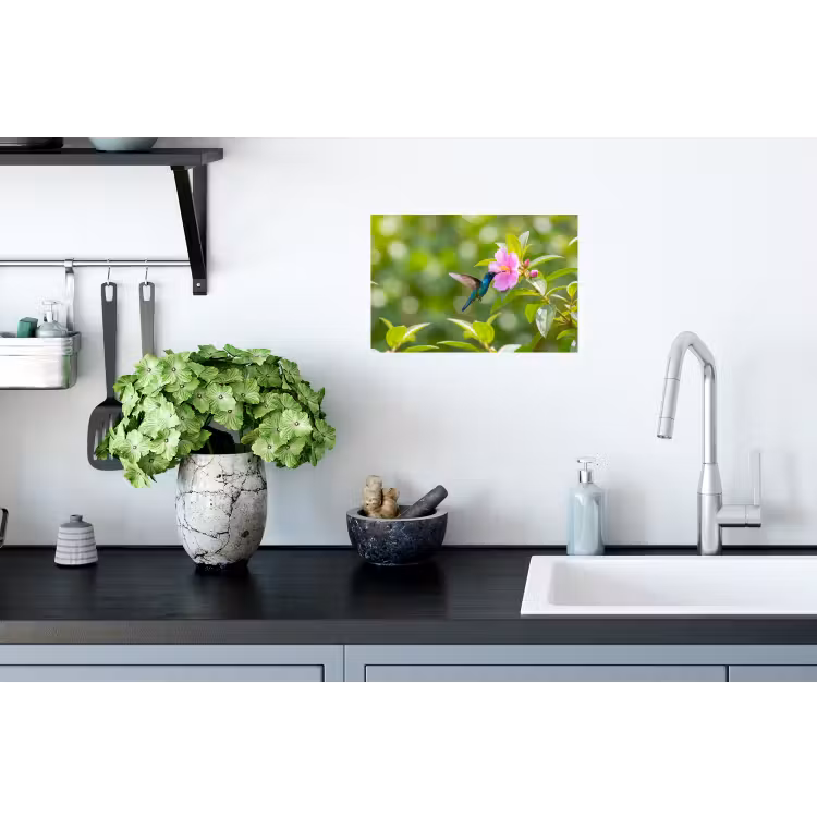 Kolibrie - Bloem - Natuur - Groen Muursticker klein -keuken