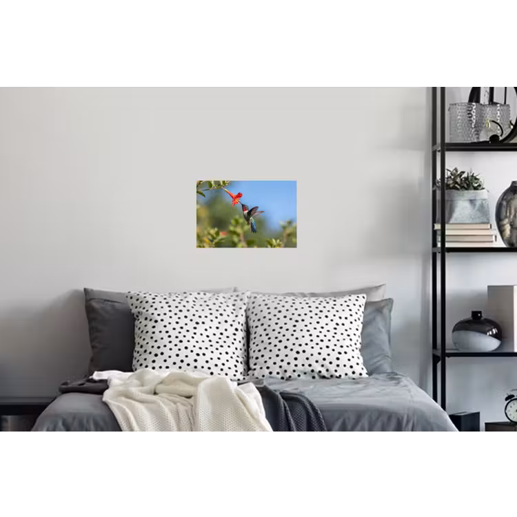 Kolibrie - Bloem - Natuur - Groen Muursticker klein -slaapkamer