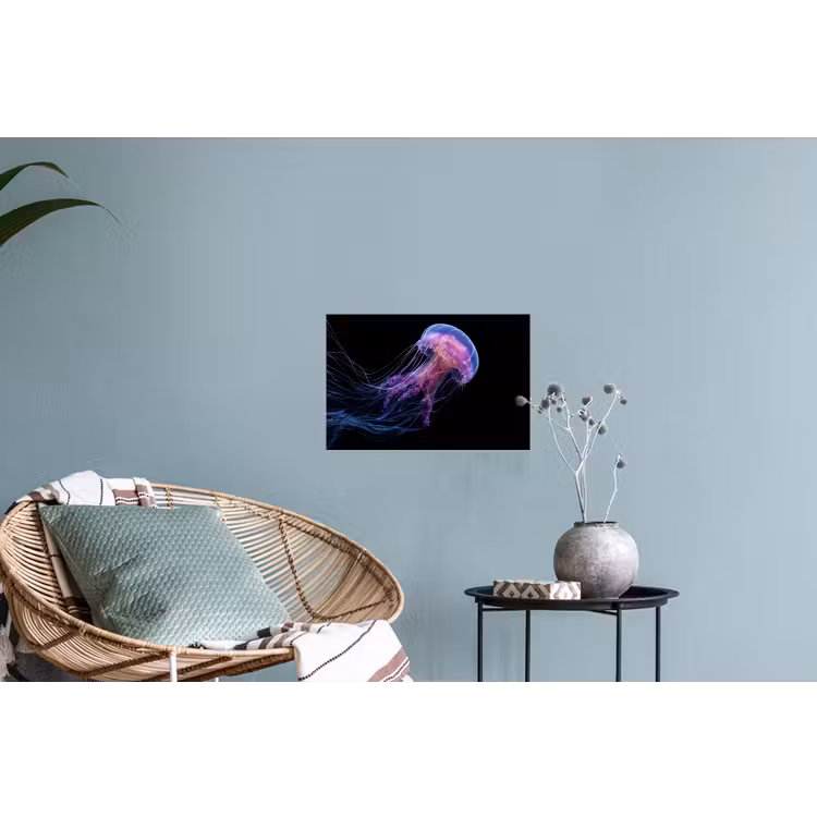 Kwal - Doorzichtig - Roze - Tentakels Muursticker klein -plant