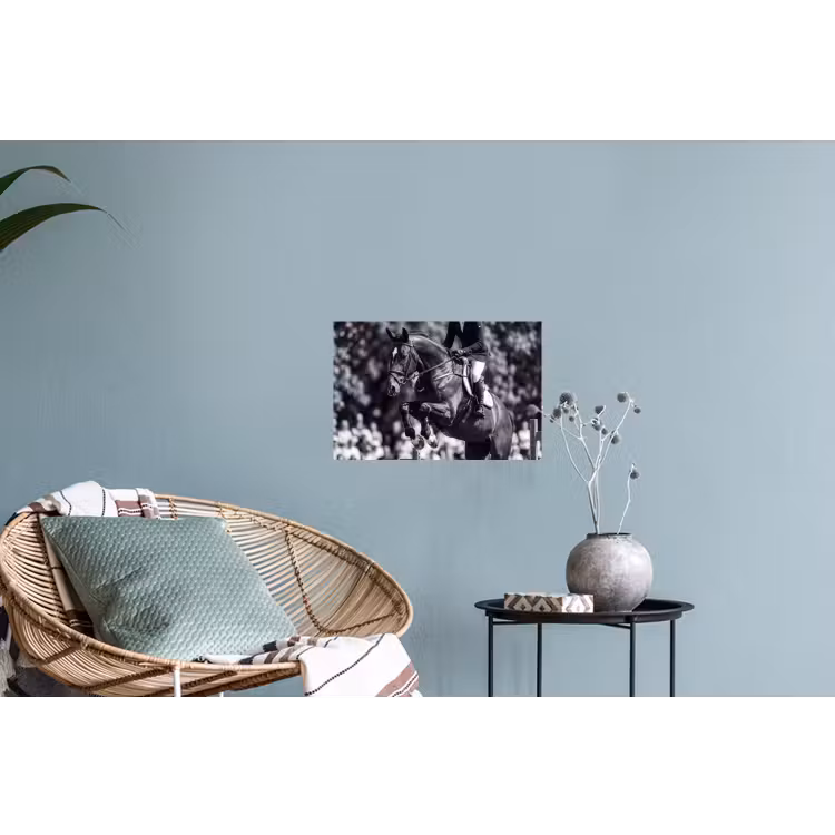 Springen - Paard - Zwart - Wit Muursticker klein -plant