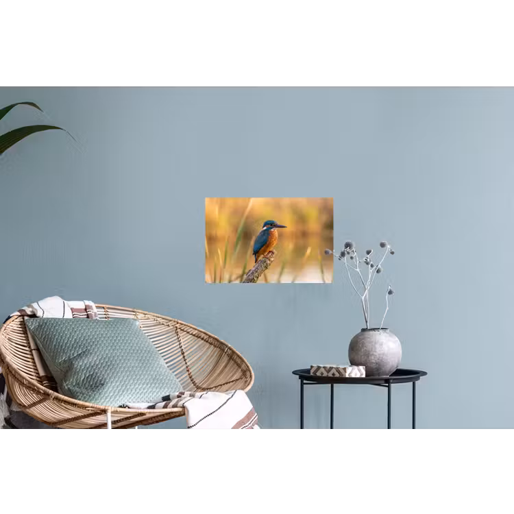IJsvogel - Tak - Water - Kleurrijk - Levendig Muursticker klein -plant