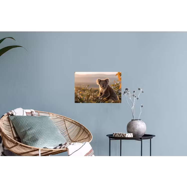 Koala - Bladeren - Ochtendlicht Muursticker klein -plant