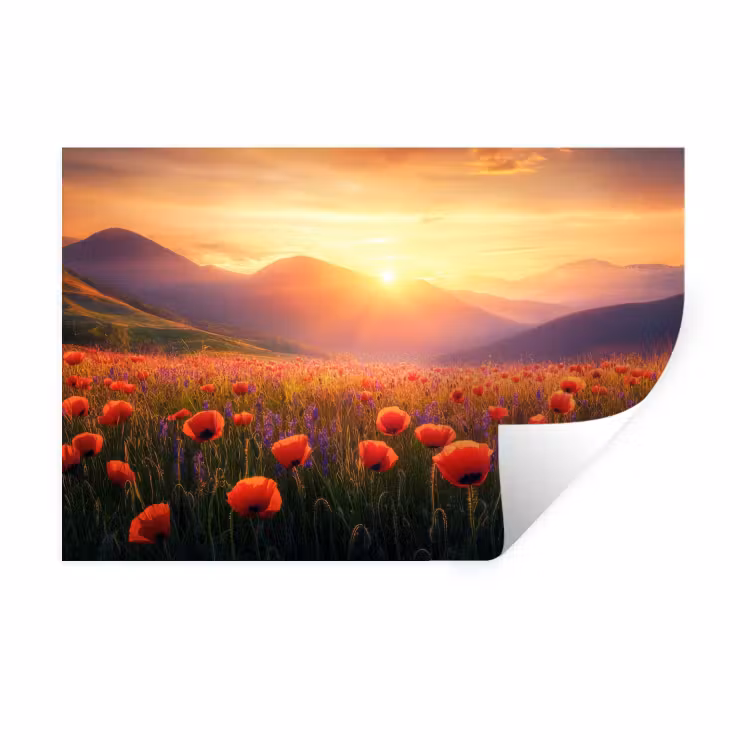 Landschap - Zonsondergang - Bloemenveld Muursticker klein -3d